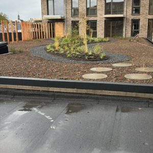 PHOTO-2025-10-28-15-45-35